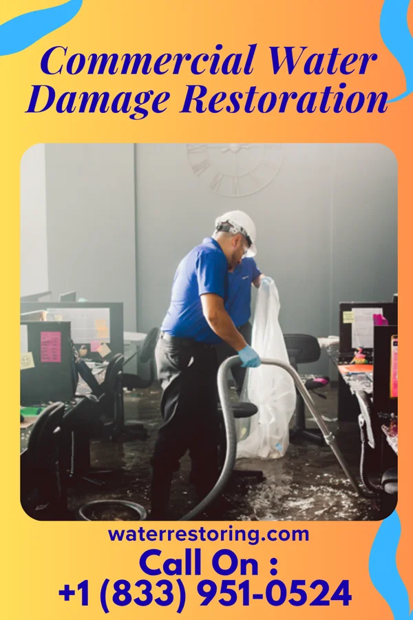 Commercial Water Damage Restoration in Rising Sun-Lebanon, DE