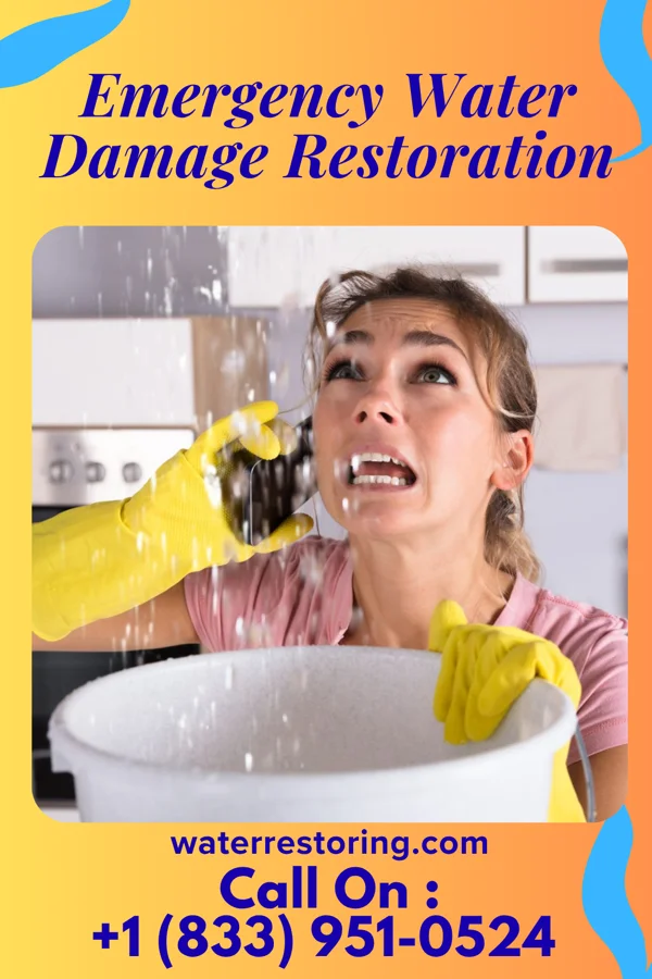 Emergency Water Damage Restoration in Rising Sun-Lebanon, DE