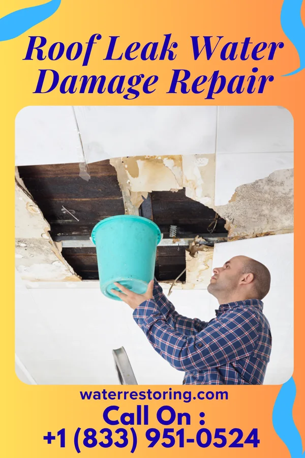 Roof Leak Water Damage Repair in Rising Sun-Lebanon, DE