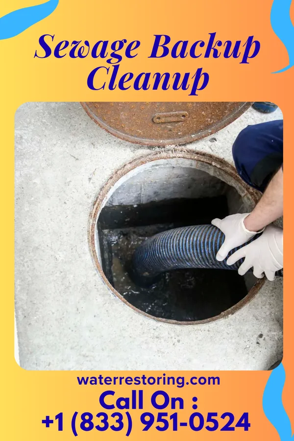 Sewage Backup Cleanup in Rising Sun-Lebanon, DE