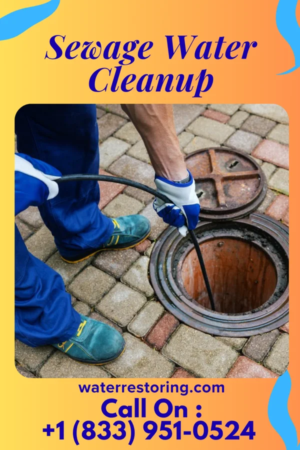 Sewage Water Cleanup in Rising Sun-Lebanon, DE